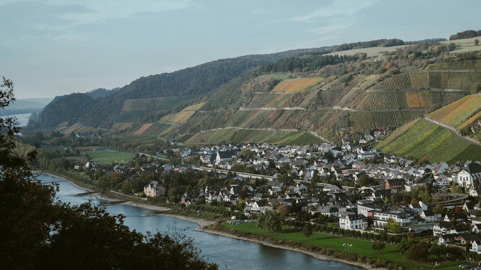 Herbst an der Mosel: Weinlese, Nebel und goldene Steillagen