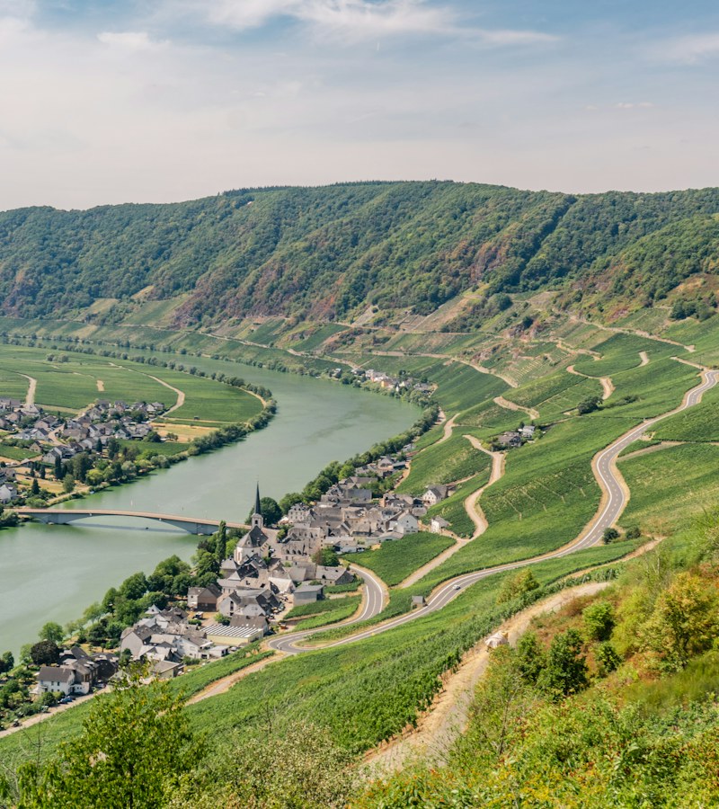 Zonnige wijngaarden aan de rivier in de regio Konz